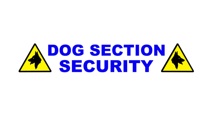 dog section with triangle