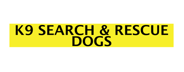 K9 Search and rescue dogs